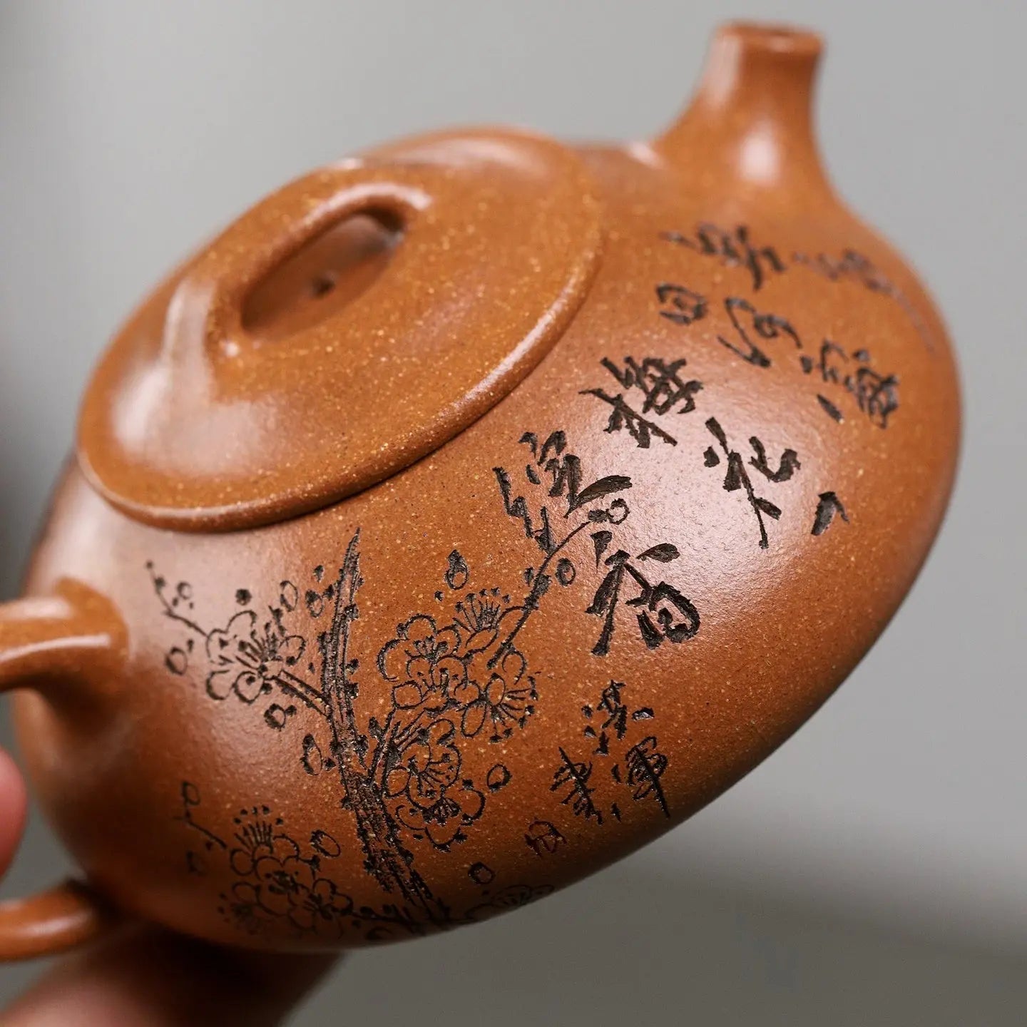 Na Piao 130cc - Yixing Handmade Teapot 江苏宜兴