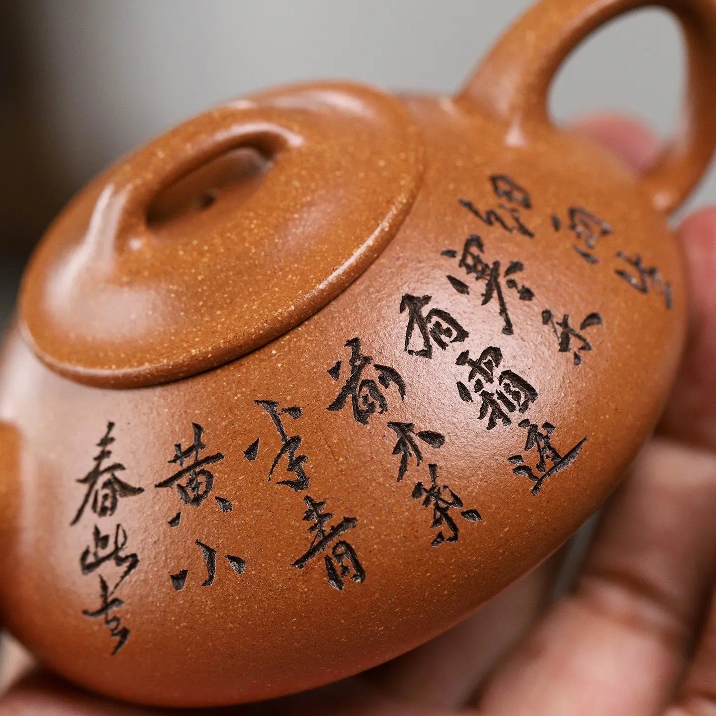 Na Piao 130cc - Yixing Handmade Teapot 江苏宜兴
