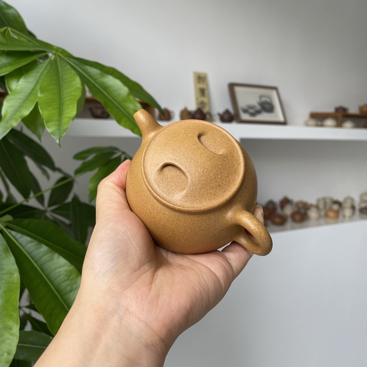 Niu Gai Lian Zi 150cc - Yixing Handmade Teapot 江苏宜兴