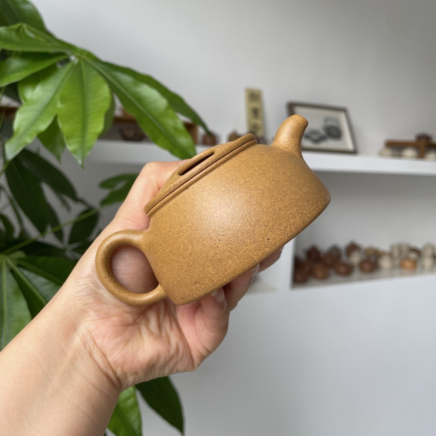 Niu Gai Lian Zi 150cc - Yixing Handmade Teapot 江苏宜兴