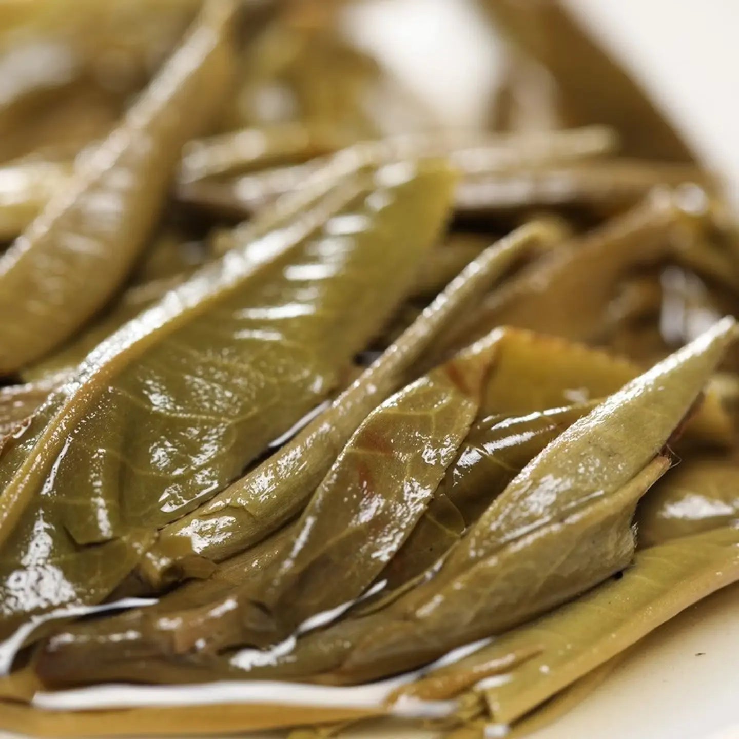 Pa Sha Zhen Pin - Pu'er Tea - Fine Tea zycschina