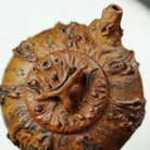 Pan Gen Shu Yu 120cc - Yixing Handmade Teapot 江苏宜兴