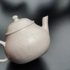 Pan Hu 130cc - Yixing Handmade Teapot 江苏宜兴