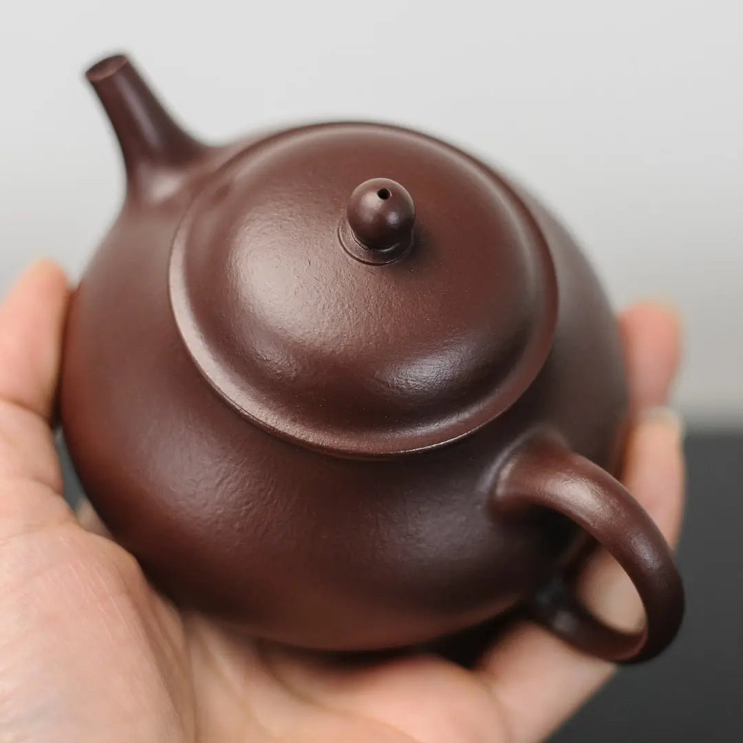 Pan Hu 160cc - Yixing Handmade Teapot 江苏宜兴