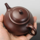 Pan Hu 160cc - Yixing Handmade Teapot 江苏宜兴
