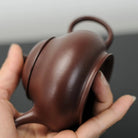 Pan Hu 160cc - Yixing Handmade Teapot 江苏宜兴