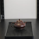 Pan Hu 160cc - Yixing Handmade Teapot 江苏宜兴