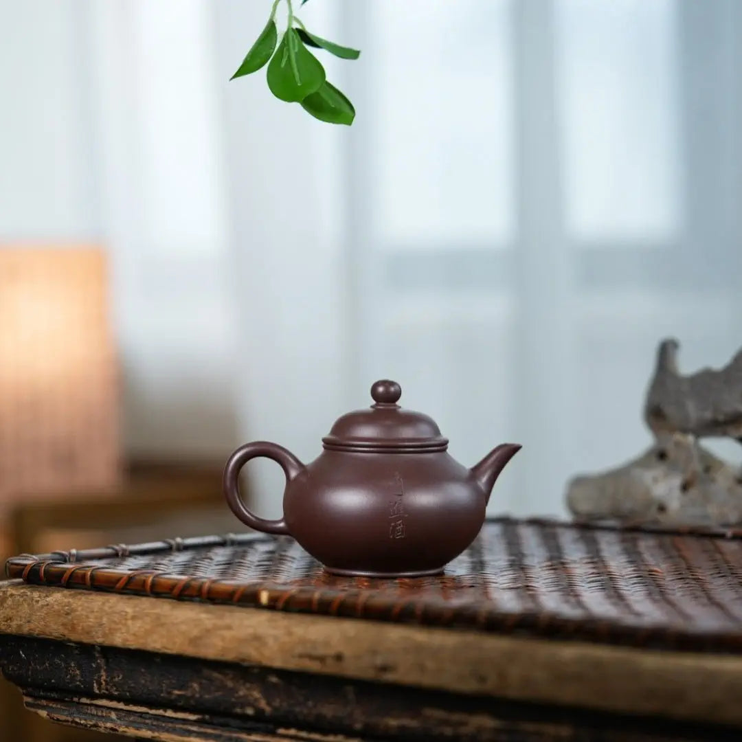Pan Hu 160cc - Yixing Handmade Teapot 江苏宜兴