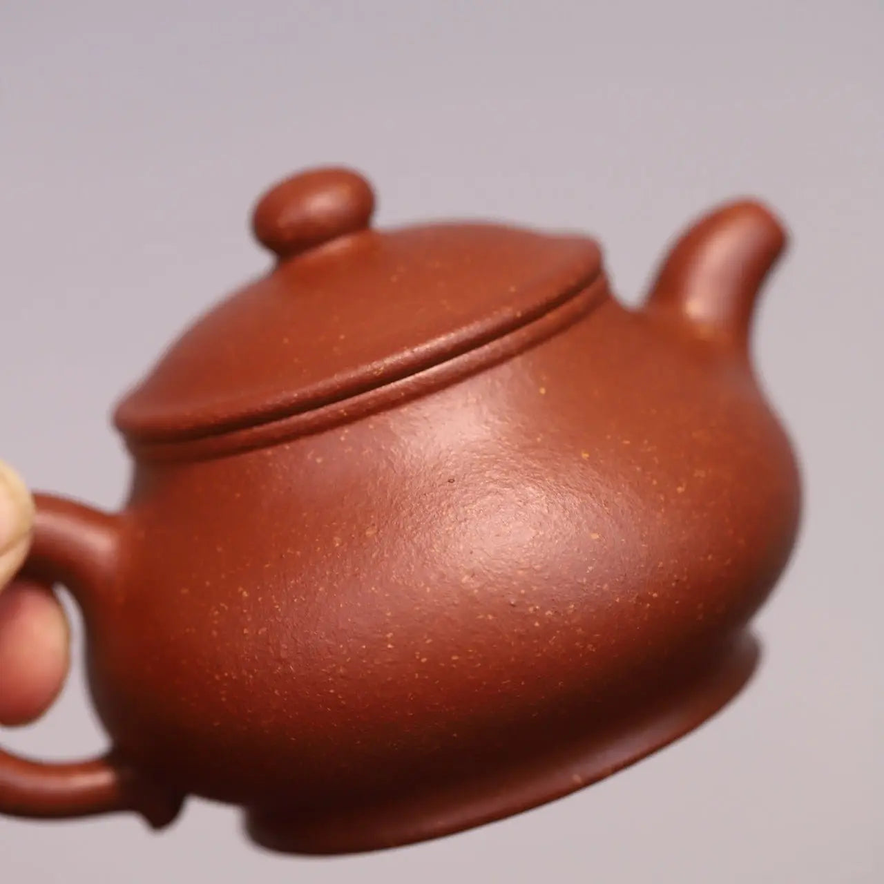 Pan Hu 170cc - Yixing Handmade Teapot 江苏宜兴