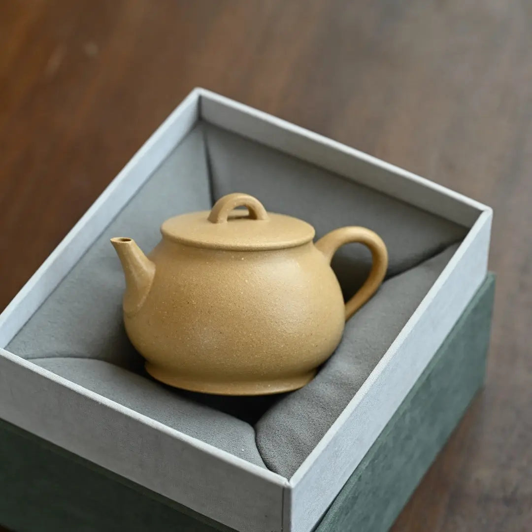 Pan Hu 180cc - Yixing Handmade Teapot 江苏宜兴
