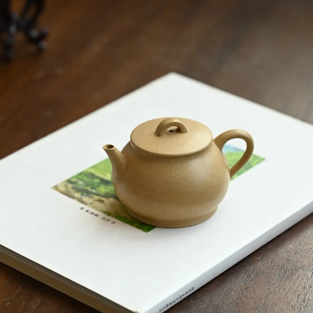 Pan Hu 180cc - Yixing Handmade Teapot 江苏宜兴