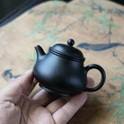Pan Hu 80cc - Yixing Handmade Teapot 江苏宜兴