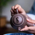 Pao Gua 210cc - Yixing Handmade Teapot 江苏宜兴
