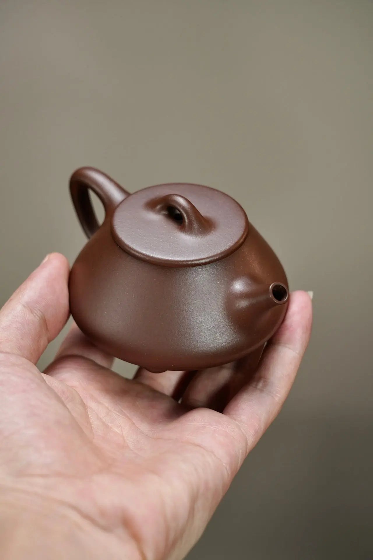 Ping Gai Shi Piao 130cc - Yixing Handmade Teapot 江苏宜兴