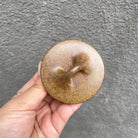 Ping Gai Shi Piao 200cc - Yixing Handmade Teapot 江苏宜兴