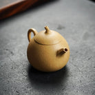 Qie Gua 200cc - Yixing Handmade Teapot 江苏宜兴