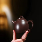 Qin Quan 210cc - Yixing Handmade Teapot 江苏宜兴