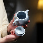 Qin Quan 280cc - Yixing Handmade Teapot 江苏宜兴