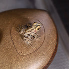 Qing Chi Yu Hou 140cc - Yixing Handmade Teapot 江苏宜兴