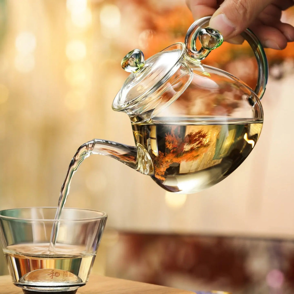 Qing Lian 320cc - Glass teapot zycschina