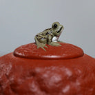 Qing Wa Gong Chun 200cc - Yixing Handmade Teapot 江苏宜兴