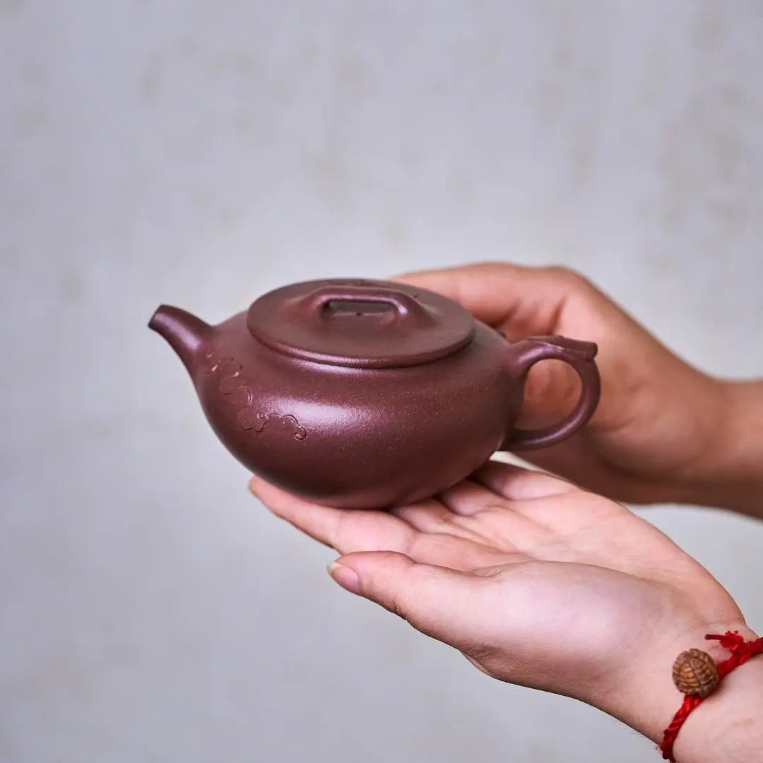 Qing Yun 200cc - Yixing Handmade Teapot 江苏宜兴