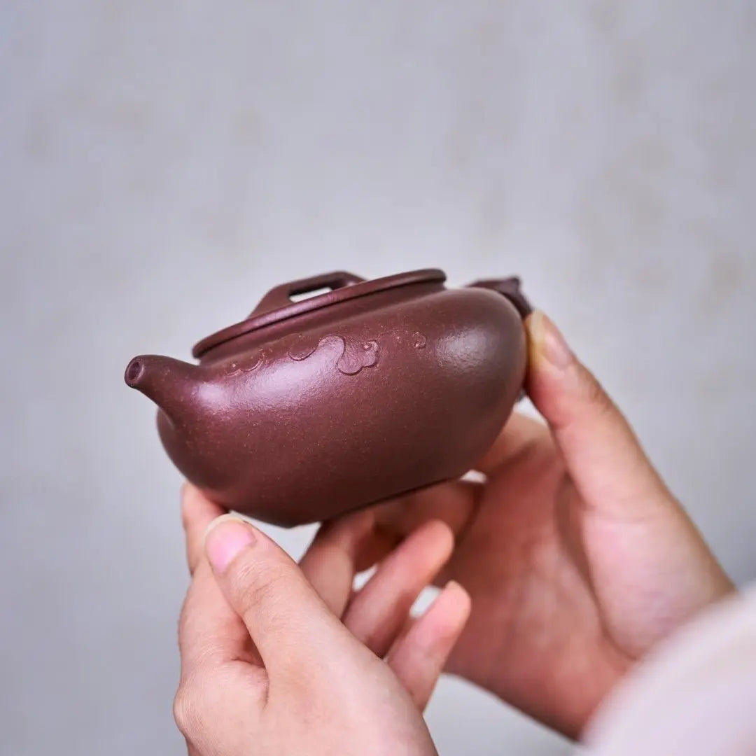 Qing Yun 200cc - Yixing Handmade Teapot 江苏宜兴