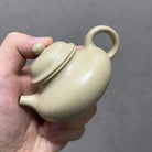Rong Tian 100cc - Yixing Handmade Teapot 江苏宜兴