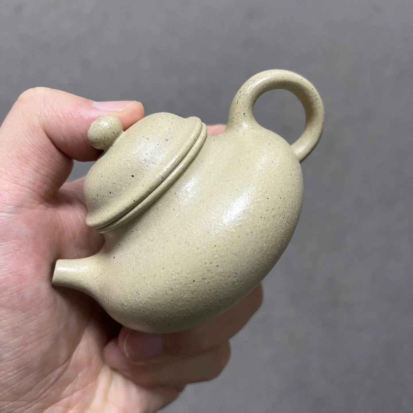 Rong Tian 100cc - Yixing Handmade Teapot 江苏宜兴