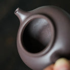 Rong Tian 100cc - Yixing Handmade Teapot 江苏宜兴