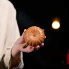 Rong Tian 160cc - Yixing Handmade Teapot 江苏宜兴