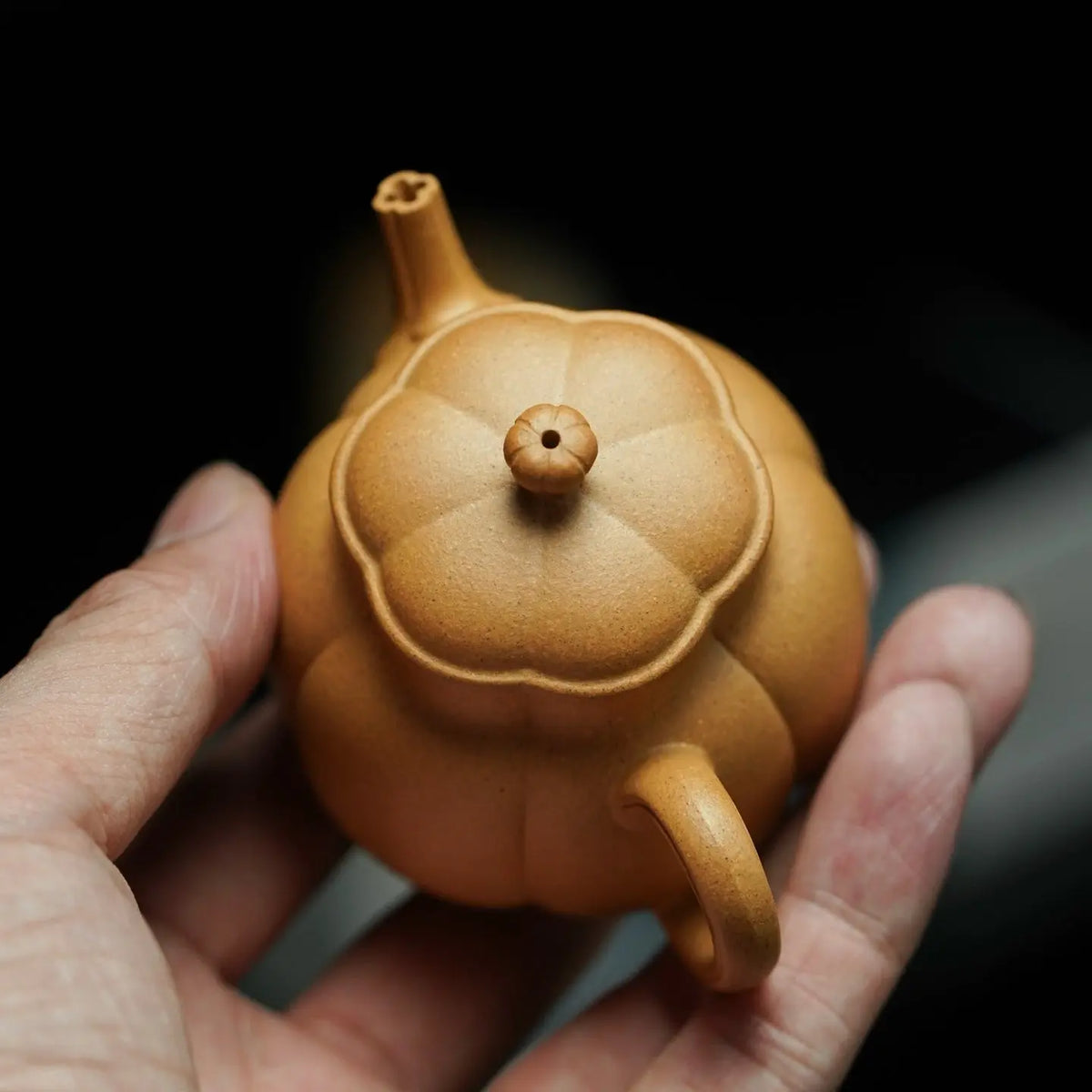 Ru Tang 85cc - Yixing Handmade Teapot 江苏宜兴