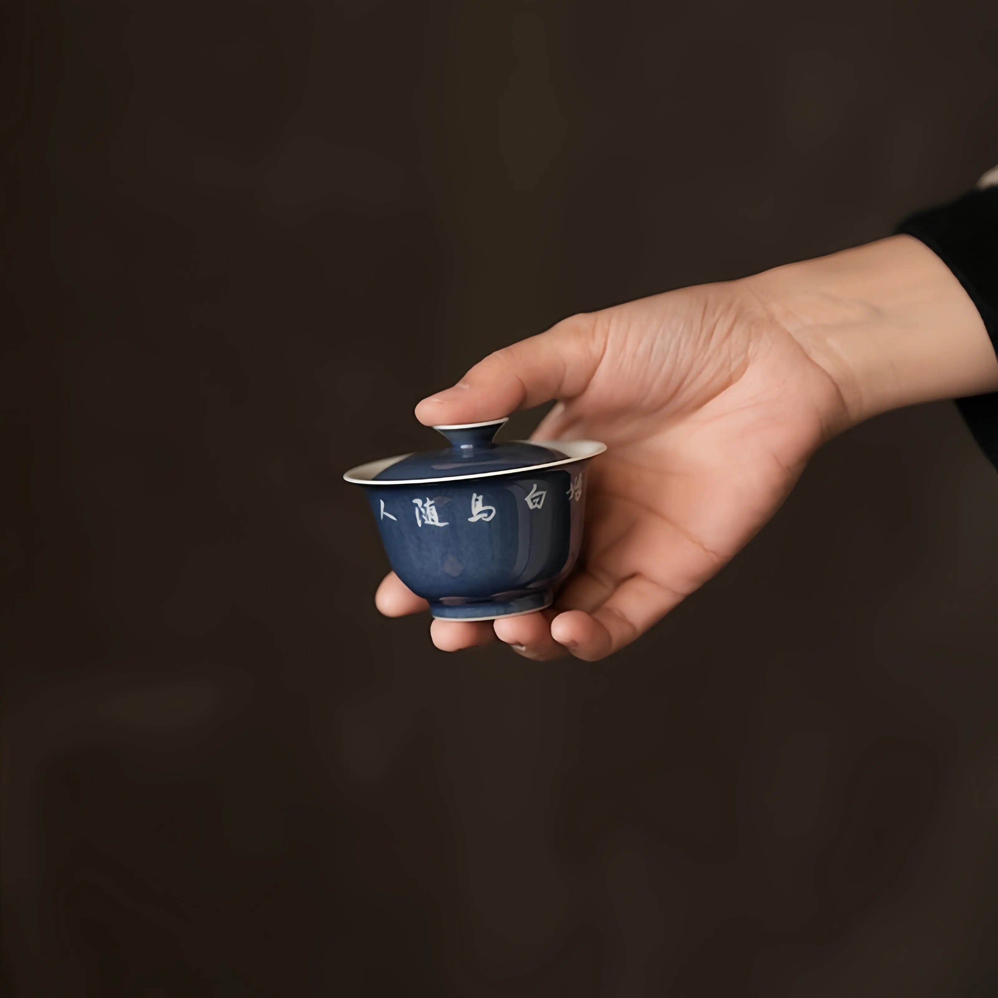 Sa Lan Shi Wen 80cc - Jingdezhen Porcelain Gaiwan zycschina