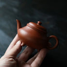 San Zu Yuan Hu 100cc - Yixing Handmade Teapot 江苏宜兴