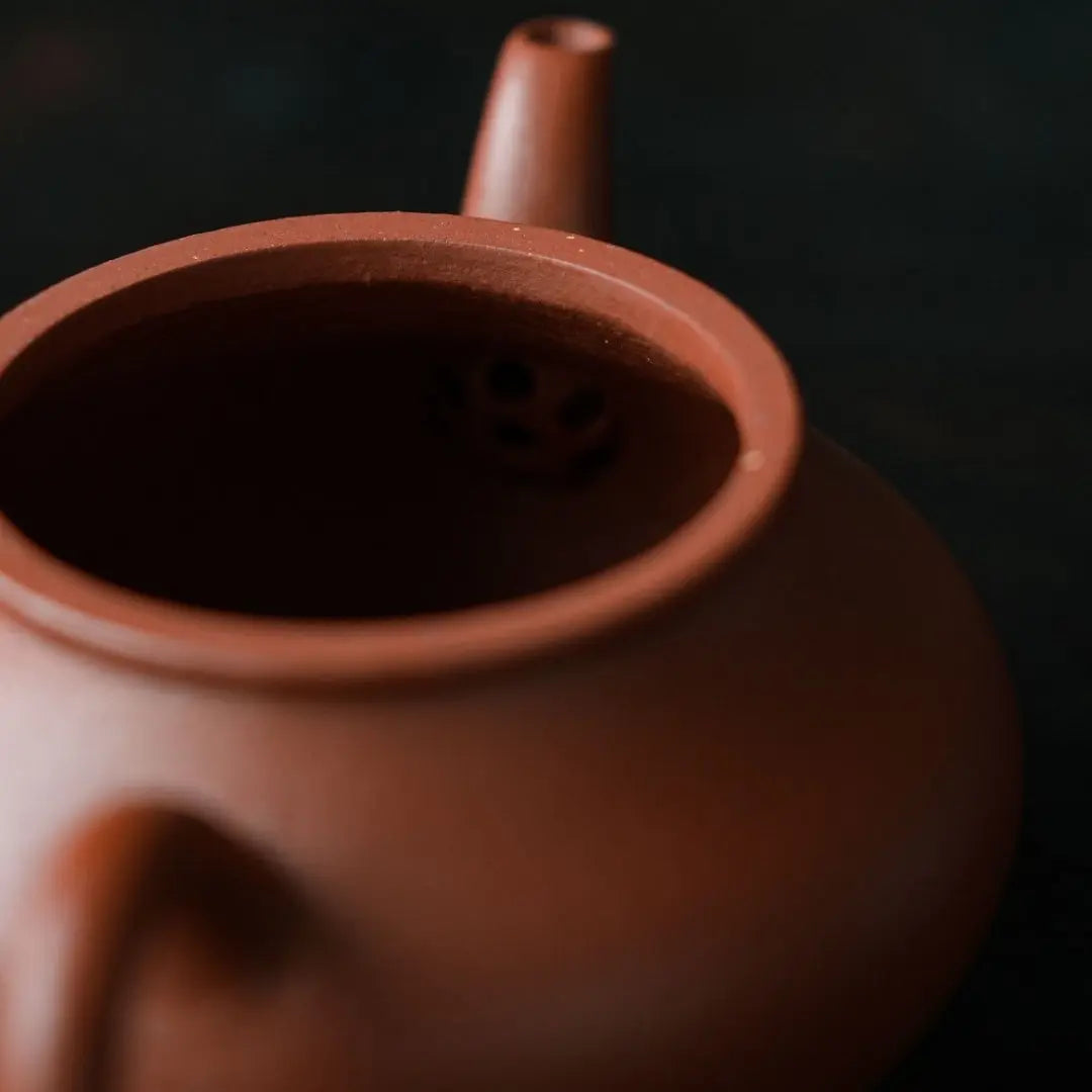 San Zu Yuan Hu 100cc - Yixing Handmade Teapot 江苏宜兴