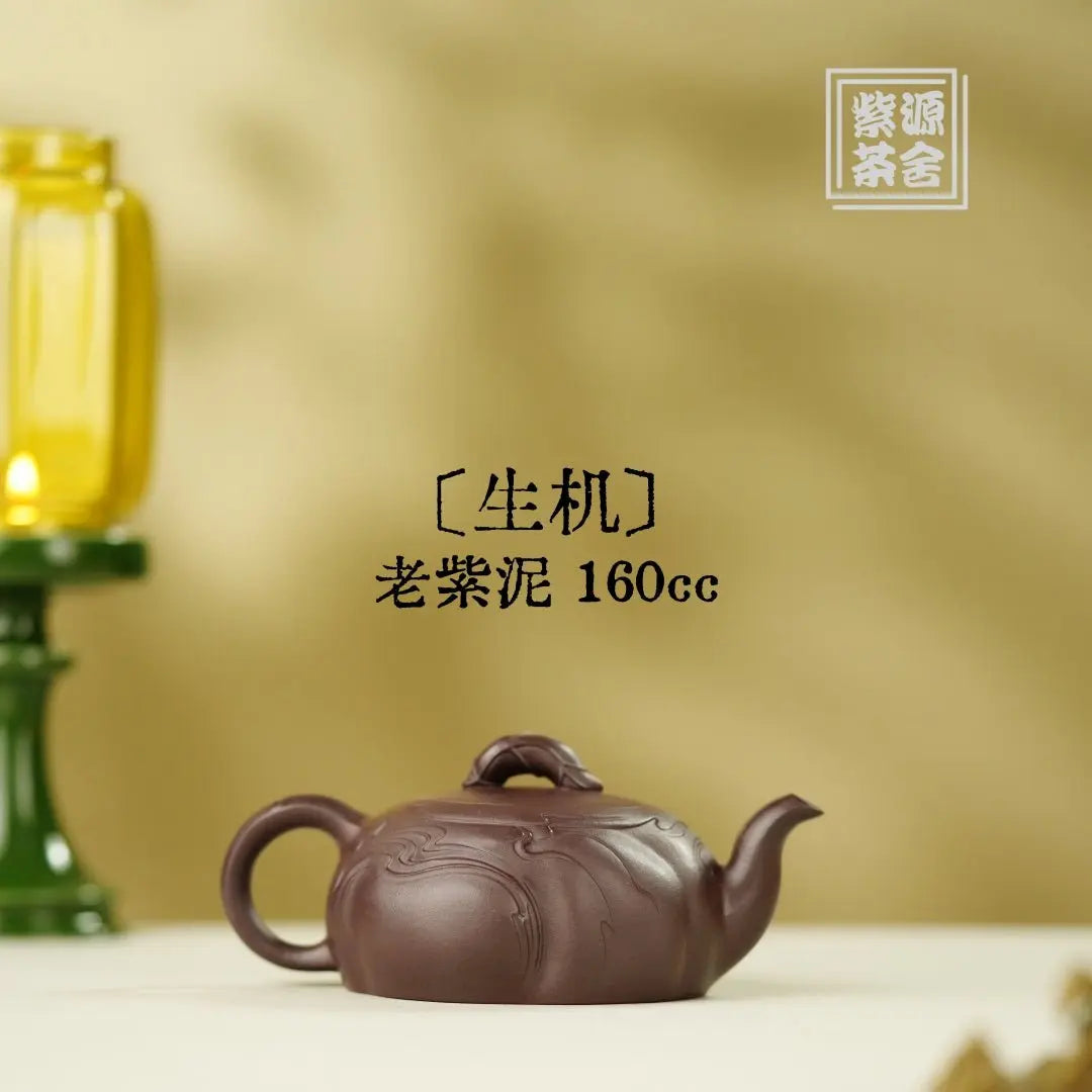 Sheng Ji 160cc - Yixing Handmade Teapot 江苏宜兴