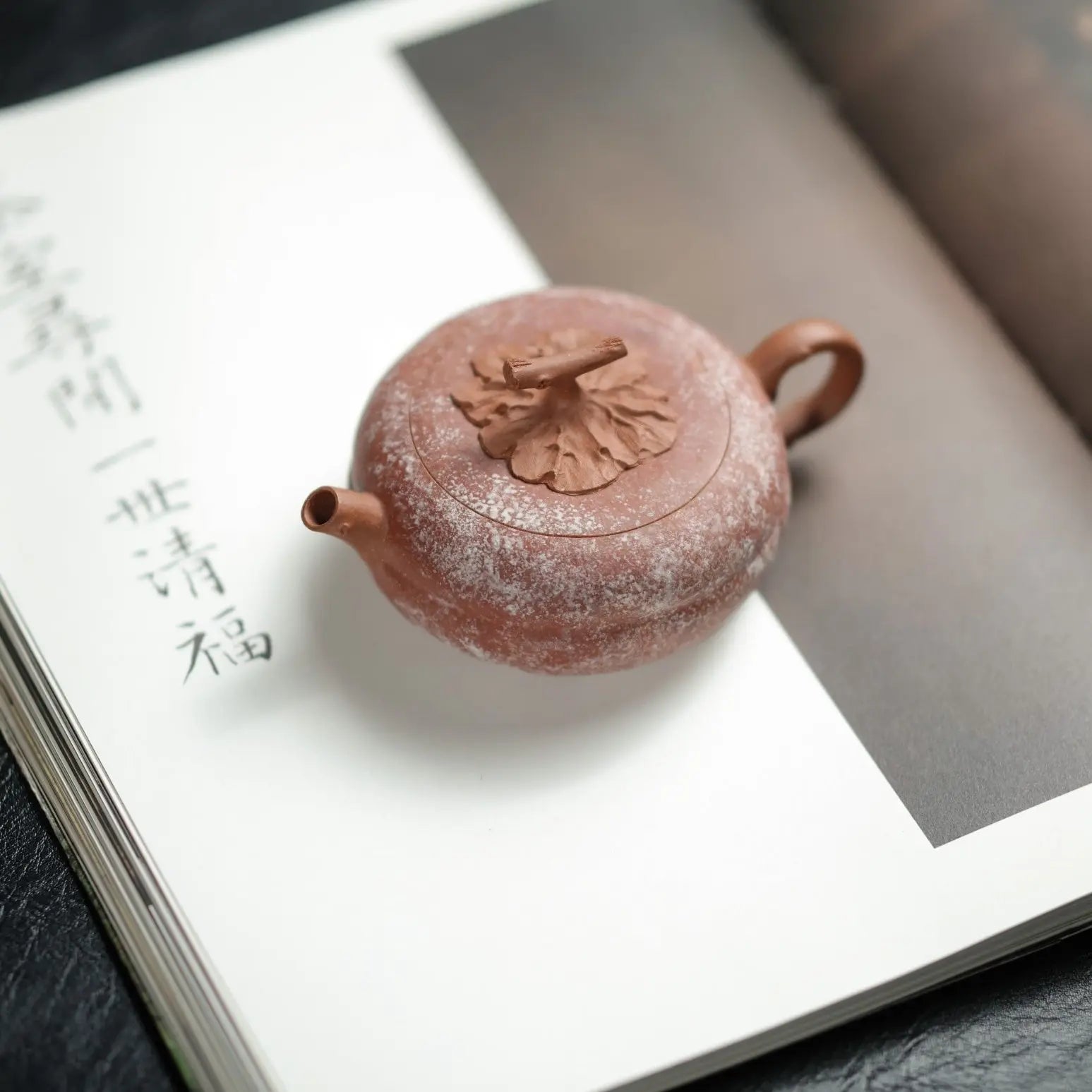 Shi Bing 100cc - Yixing Handmade Teapot 江苏宜兴