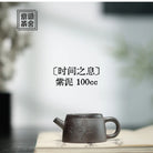 Shi Jian Zhi Xi 100cc - Yixing Handmade Teapot 江苏宜兴
