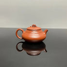 Shi Lai Yun Zhuan 160cc - Yixing Handmade Teapot 江苏宜兴