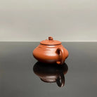 Shi Lai Yun Zhuan 160cc - Yixing Handmade Teapot 江苏宜兴