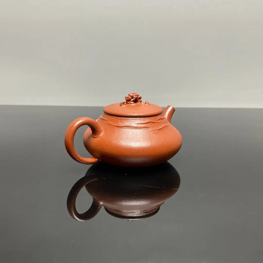 Shi Lai Yun Zhuan 160cc - Yixing Handmade Teapot 江苏宜兴