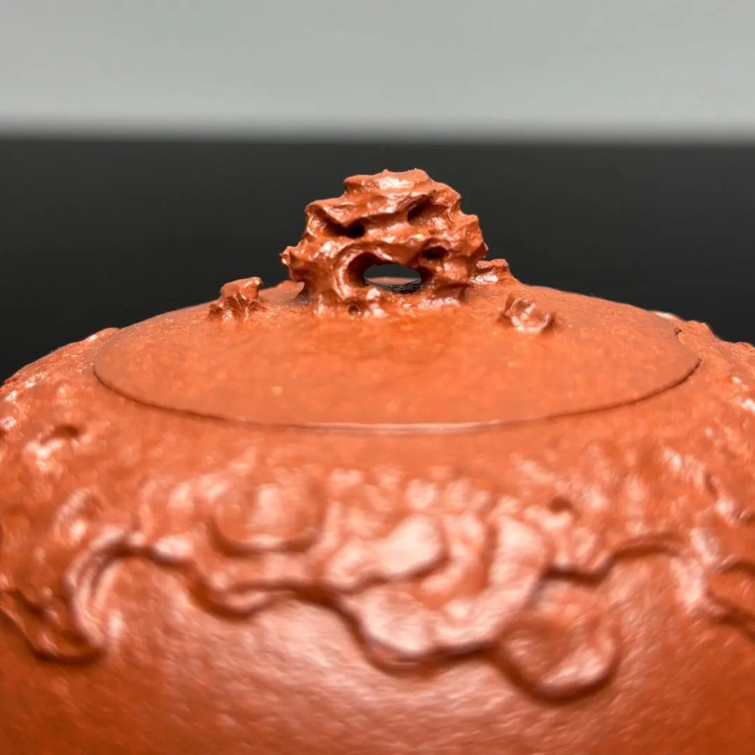 Shi Lai Yun Zhuan 190cc - Yixing Handmade Teapot 江苏宜兴