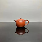 Shi Lai Yun Zhuan 190cc - Yixing Handmade Teapot 江苏宜兴
