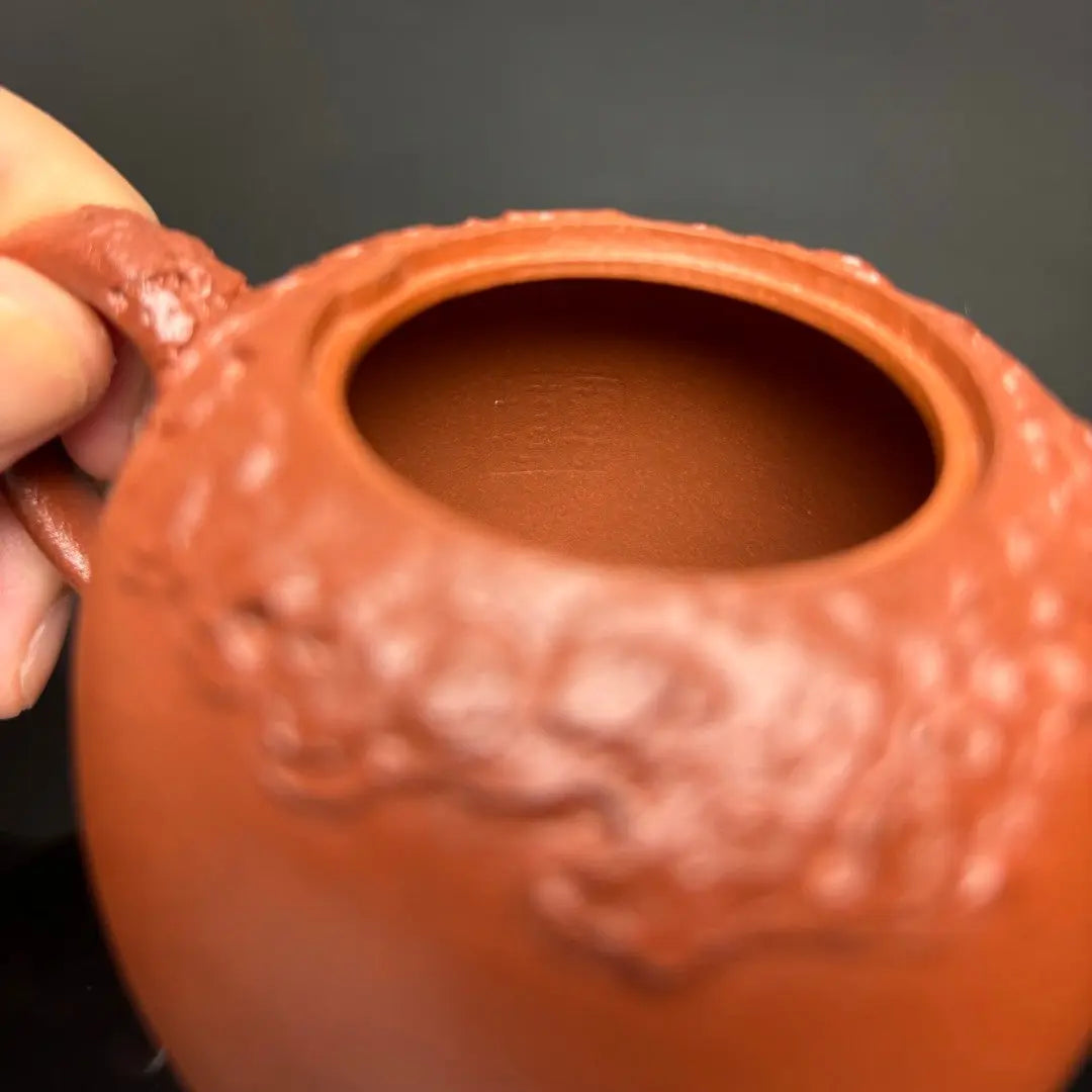 Shi Lai Yun Zhuan 190cc - Yixing Handmade Teapot 江苏宜兴