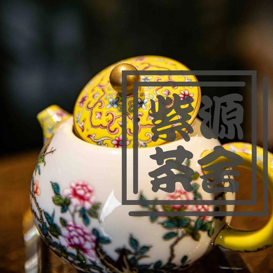 Shi Liu Xi Shi - Jing De Zhen Porcelain Teapot zycschina