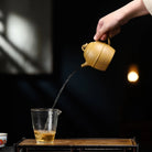 Shi Min Qin Quan 180cc - Yixing Handmade Teapot 江苏宜兴