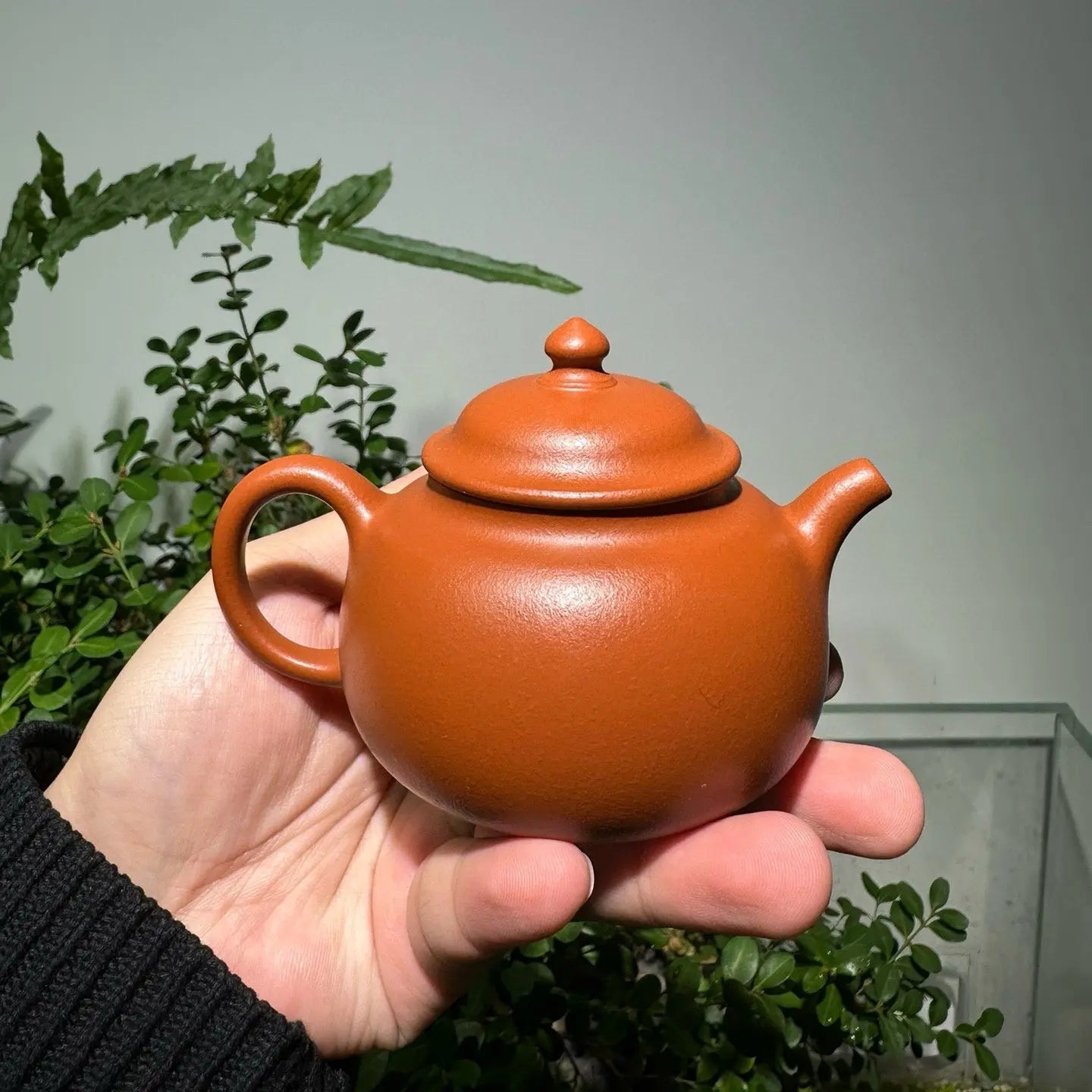 Shi Ming - Yixing Handmade Teapot 江苏宜兴