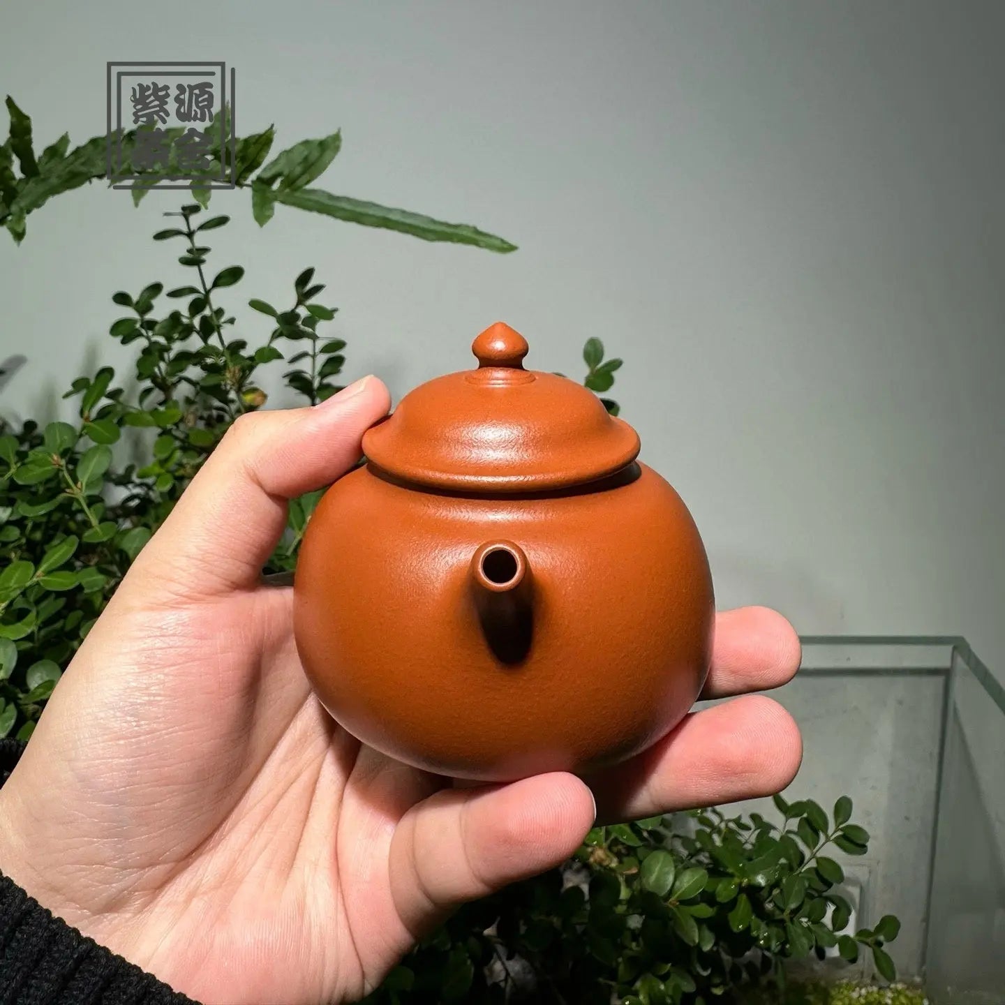 Shi Ming - Yixing Handmade Teapot 江苏宜兴
