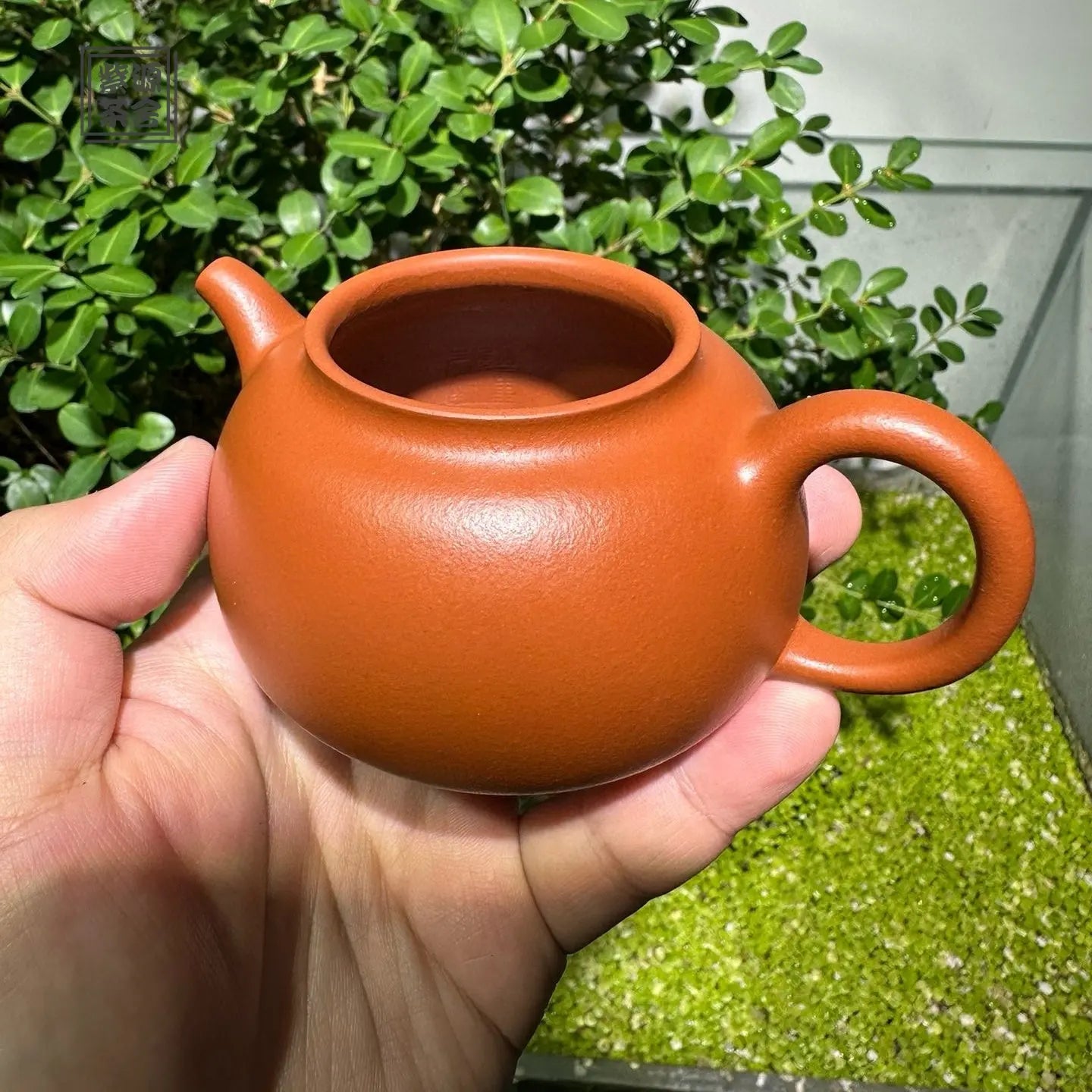 Shi Ming - Yixing Handmade Teapot 江苏宜兴
