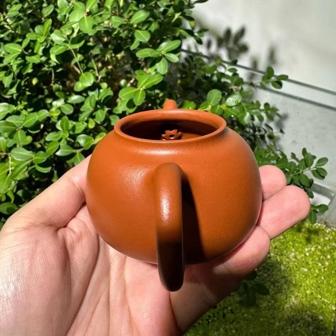 Shi Ming - Yixing Handmade Teapot 江苏宜兴